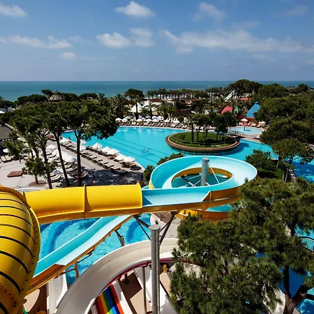 Papillon Ayscha & Belek