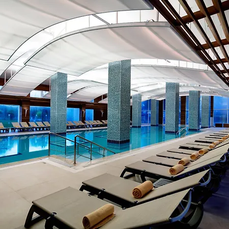 Papillon Ayscha & Hotell